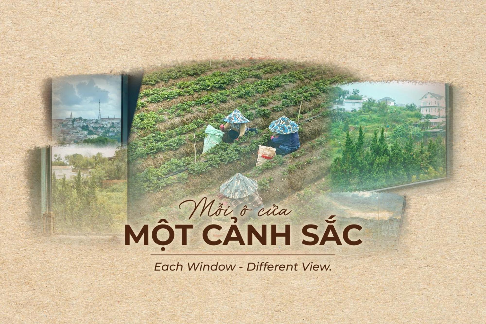 Hanoi Amsterdam Art Studio ダラット エクステリア 写真